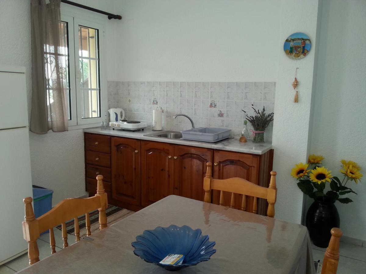 Panormitis Pizanias Apartment Skalia